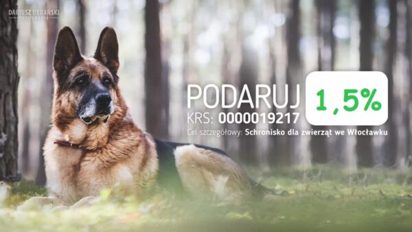 Przekaż 1,5 procenta na bezdomne, schorowane zwierzęta.