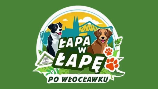 Łapa w łapę po Włocławku