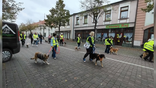 Tak było na Przemarszu z okazji Światowego Dnia Zwierząt