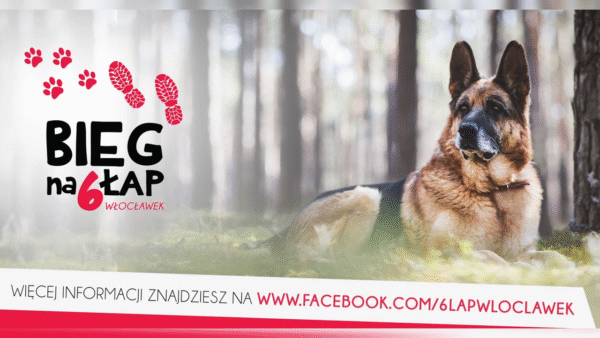 Kundelkowy Bieg na 6 Łap.