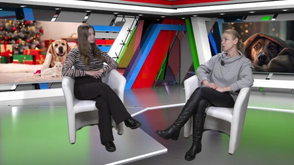 Święta i Sylwester z pupilem: weterynarz Dagmara Mieszkis radzi, jak zadbać o zwierzęta
