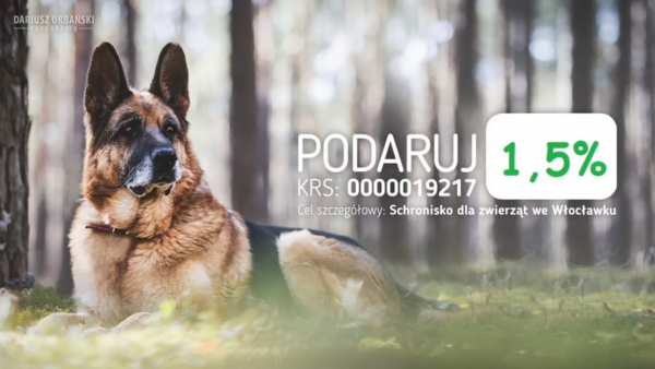 Przekaż 1,5 procenta na bezdomne, schorowane zwierzęta