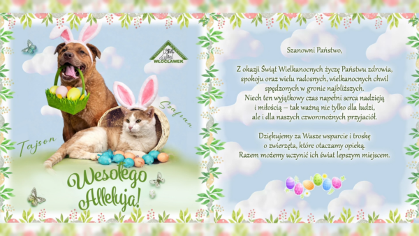 Bezdomność w liczbach, miłość w sercach – 4 kwietnia Dzień Zwierząt Bezdomnych