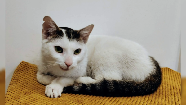 Nie zabieraj dzieci z lasu