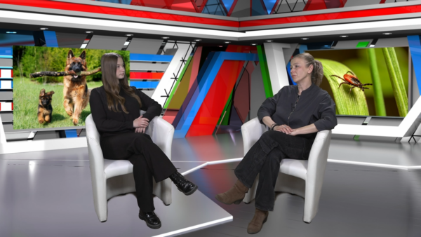 Bezpieczny pupil – kluczowa rola profilaktyki