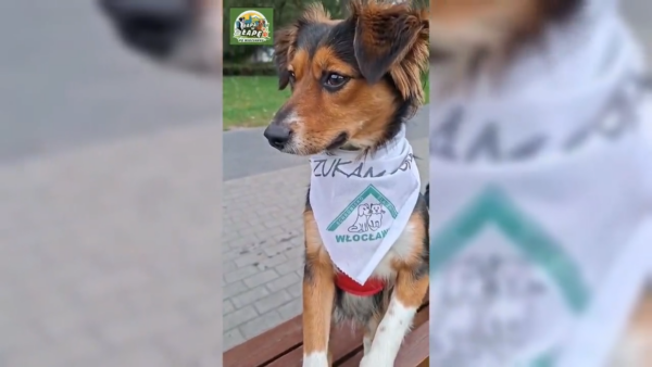 Łapa w łapę po Włocławku - zakończenie sezonu
