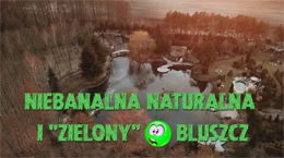Niebanalna Naturalna i Zielony Bluszcz