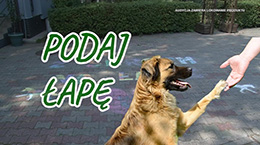 Podaj Łapę
