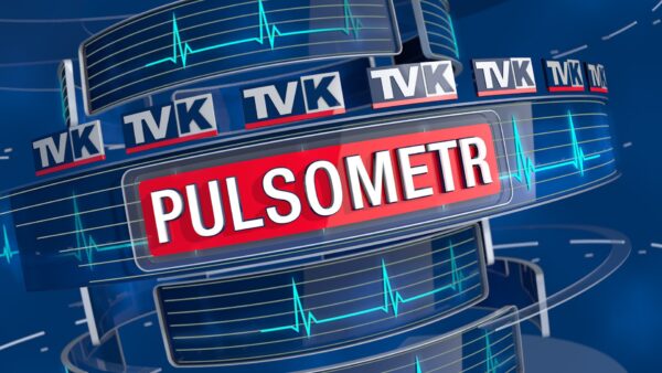 Pulsometr